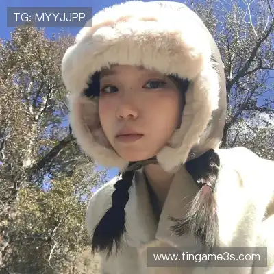 成歌舟